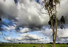 KAIYUN：美国网红“甲亢哥”中国行，武僧现场展示少林功夫，甲亢哥连连惊叹：oh hell！.