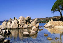 @冰雪运动爱好者 这里有份安全科普请查收央视新闻客户端.